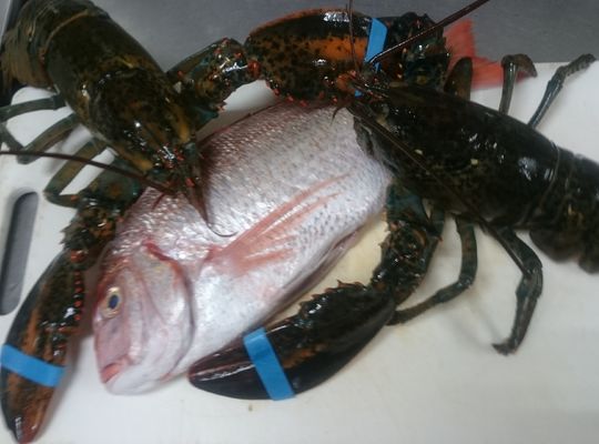 海老２尾　鯛
