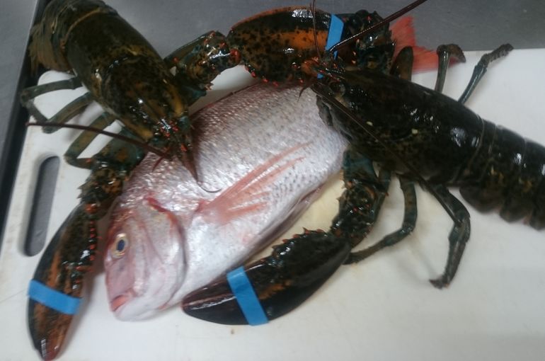 海老２尾　鯛
