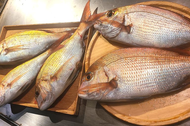 魚（鯛）