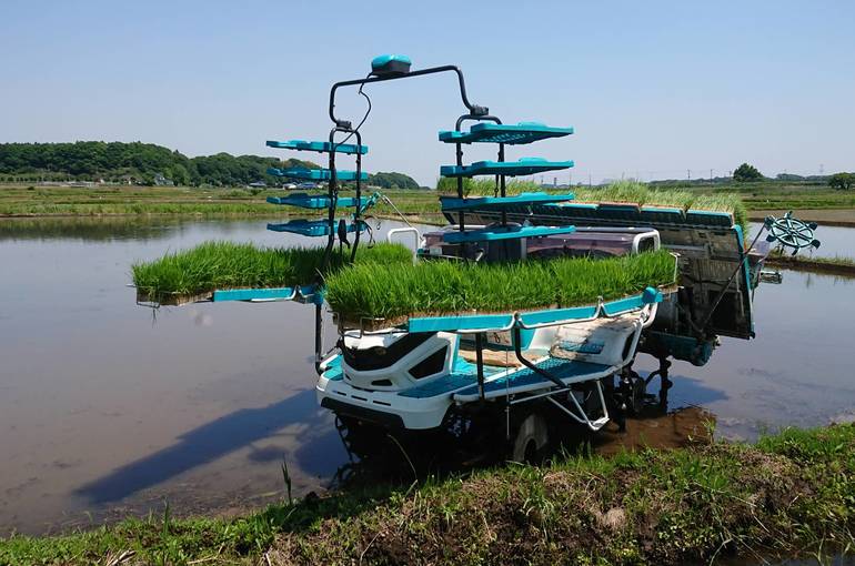 田植え